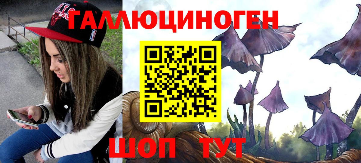Галлюциногенные грибы Magic Shrooms  Вход с VPN  Мыски  Галлюциногенные грибы Cubensis 